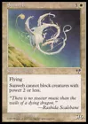 Shimmering Mirage