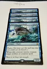 Voracious Greatshark #