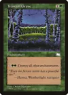 Tranquil Grove