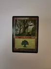 Forest #