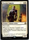 Precinct Captain