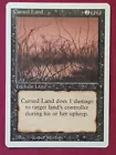Cursed Land
