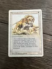 Savannah Lions