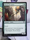 Mammoth Spider