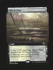 Salt Marsh
