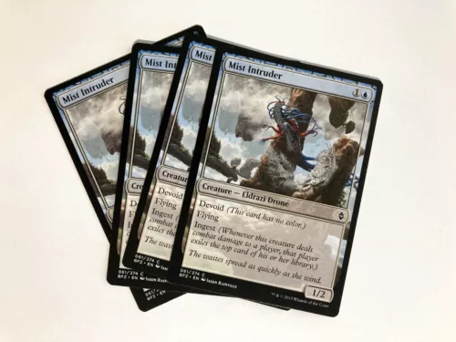 Mist Intruder