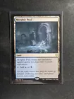 Morphic Pool #