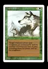 Aspect of Wolf