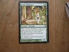 Elvish Harbinger