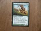Horizon Seed