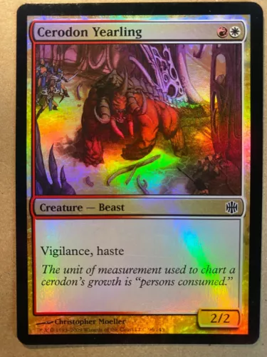 Cerodon Yearling
