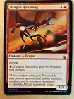 Dragon Hatchling