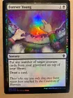 Circle of Elders