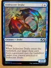 Peregrine Drake