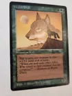 Wyluli Wolf