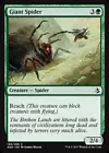 Giant Spider