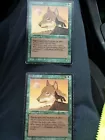 Wyluli Wolf