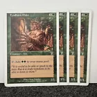Fyndhorn Elder