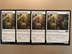 Ajani, Strength of the Pride #