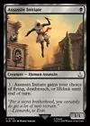 Assassin Initiate #
