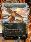 Birds of Paradise