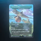 Birds of Paradise