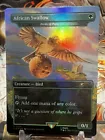 Birds of Paradise
