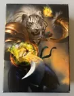 Nicol Bolas, Planeswalker