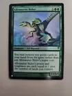 Allosaurus Rider