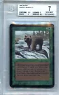 Wilson, Refined Grizzly [Showcase] #