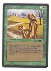 Citanul Druid