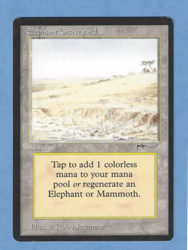 Elephant Graveyard