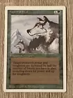 Aspect of Wolf