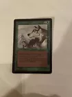 Aspect of Wolf