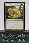 Runeclaw Bear