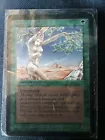 Shanodin Dryads
