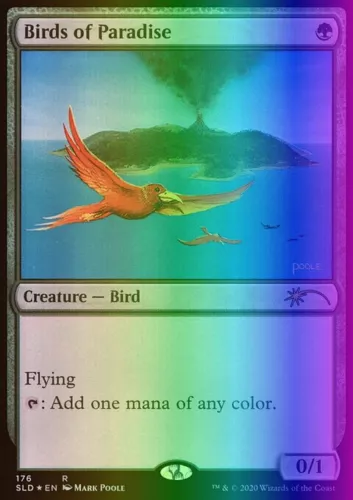 Birds of Paradise