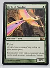 Birds of Paradise