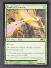 Birds of Paradise