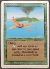 Birds of Paradise