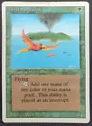 Birds of Paradise