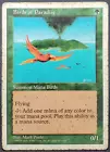 Birds of Paradise