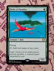 Birds of Paradise #