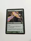 Birds of Paradise