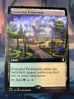 Bountiful Promenade [Extended Art] #