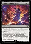 Cacophony Unleashed #