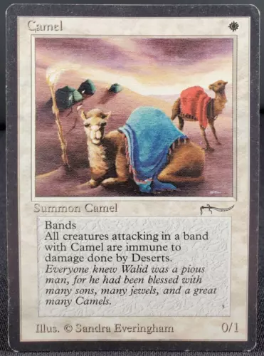Camel