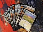 Plains