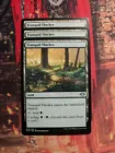 Tranquil Thicket