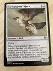 Cartographer's Hawk #